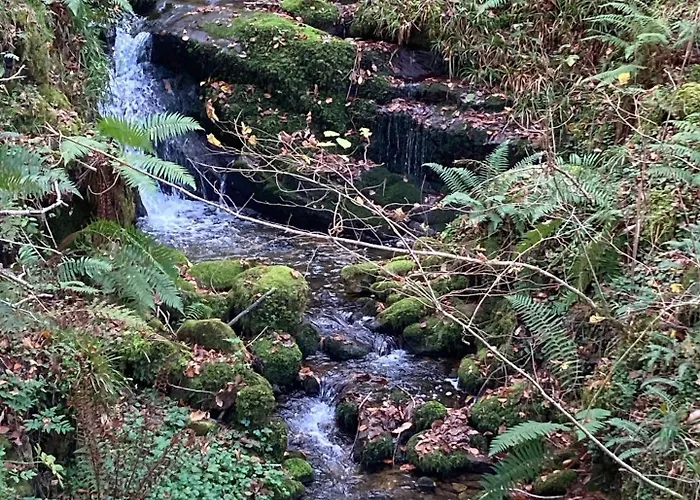 Espinareu Сasa de vacaciones